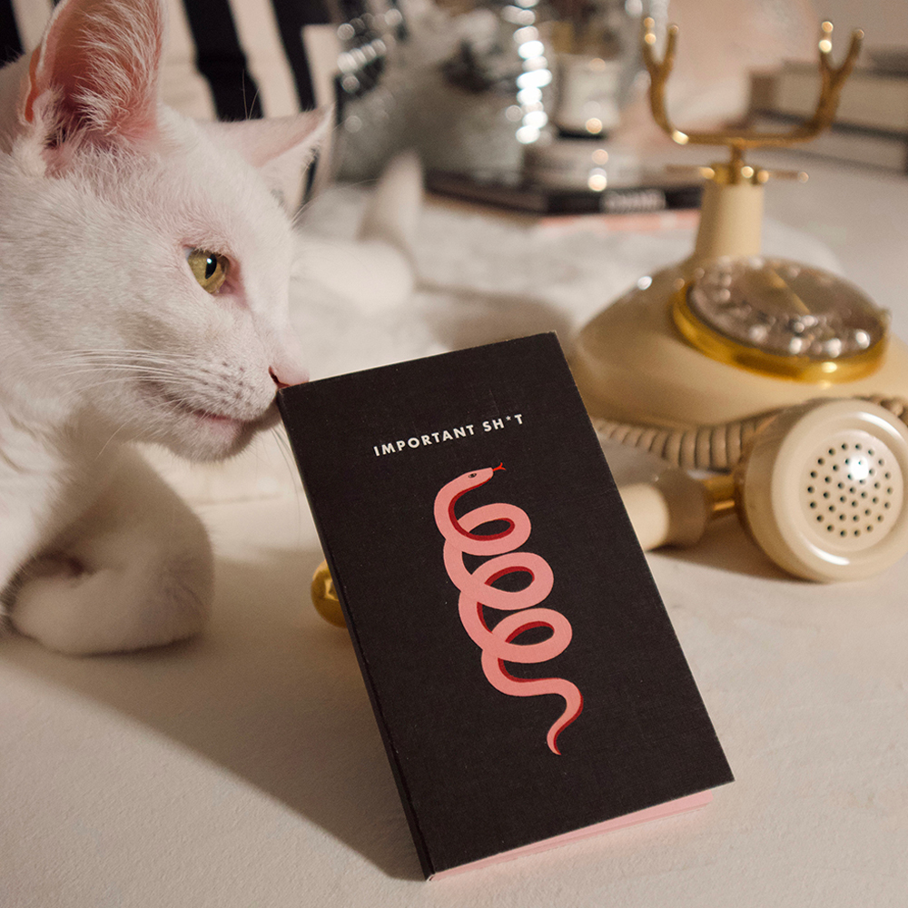 Important Sh*t Mini Notepad